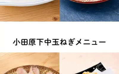 小田原の下中玉ねぎを使っておつまみを作ってみました